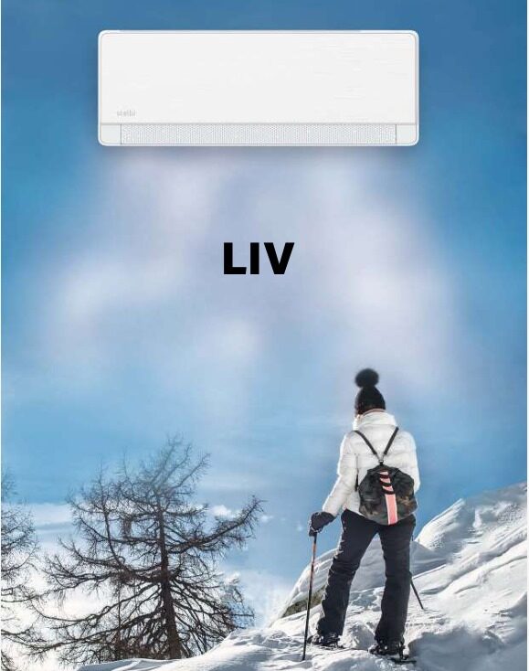 CONDIZIONATORE STELBI MODELLO LIV